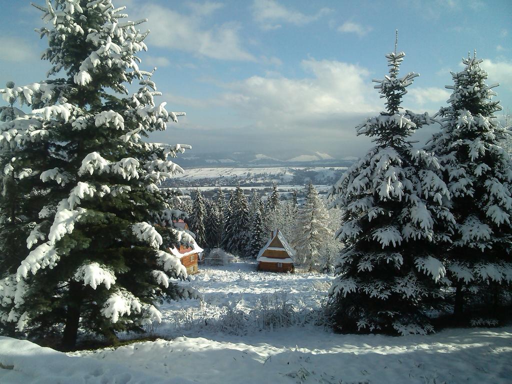 Hôtel Panorama Tatr à Zakopane Extérieur photo
