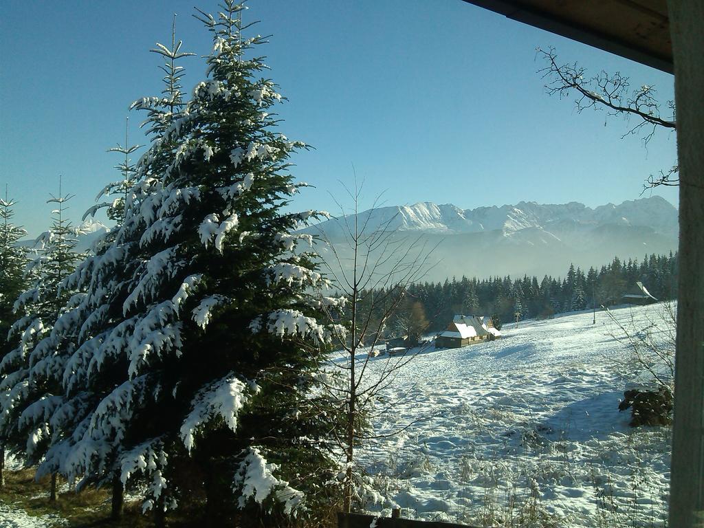 Hôtel Panorama Tatr à Zakopane Extérieur photo